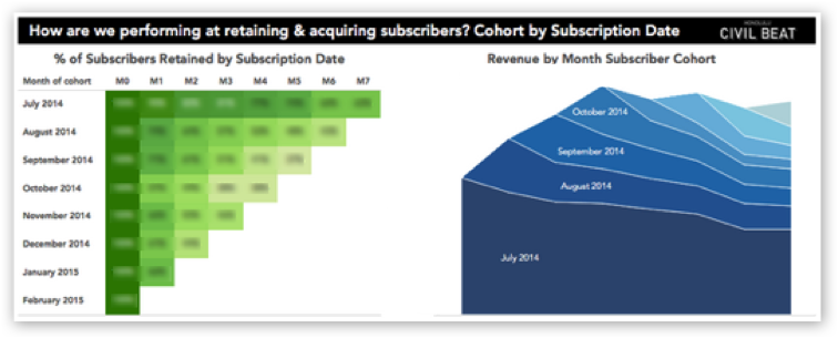 subscriber cohort data visualization