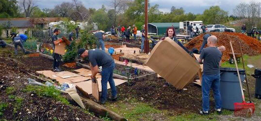 nick volunteering hearts landing ranch