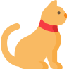 curiosity cat icon
