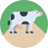 digital transformation cowpaths icon