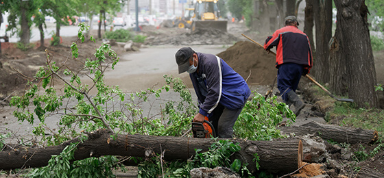 Hurricane cleanup