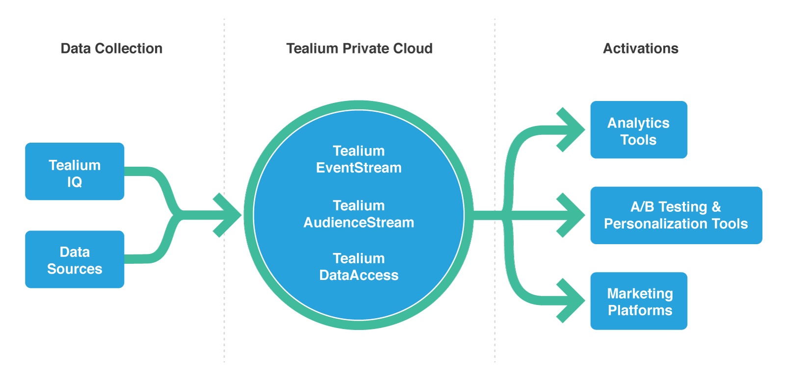 tealium's private cloud data collection and activation processes