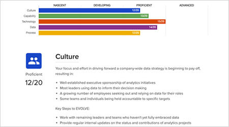 Analytics Maturity Assessmentr