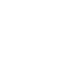 sun icon