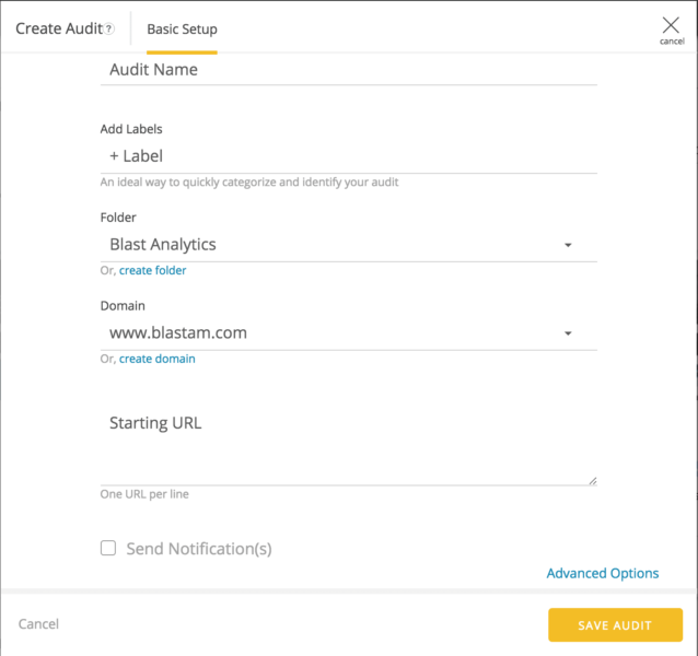 basic audit setup in observepoint