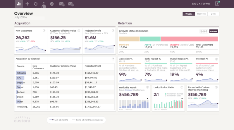 SaaS Metrics KPIs Dashboard example