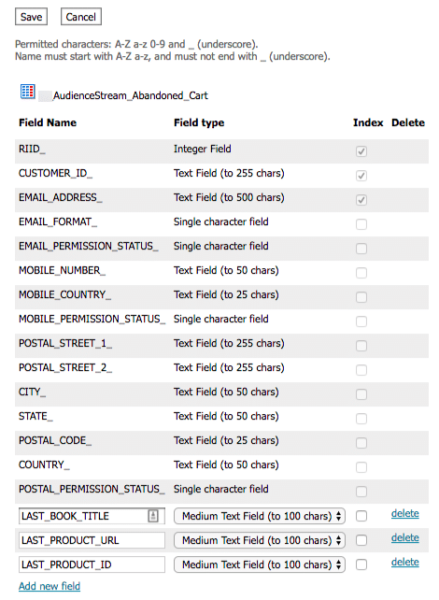 screenshot of Responsys campaign fields