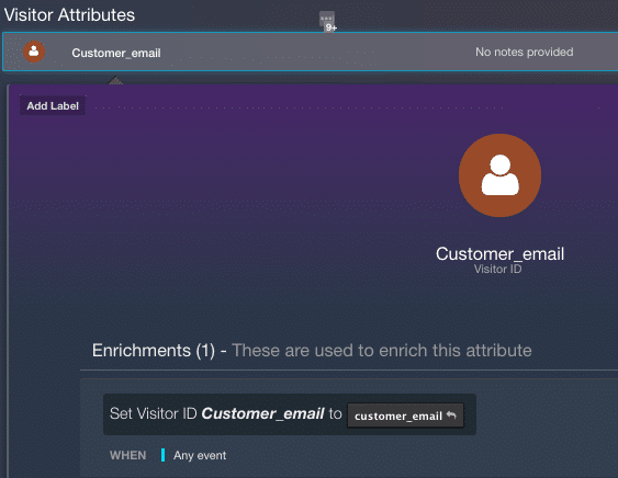 screenshot of AudienceStream visitor attributes