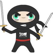 Analytics Ninja