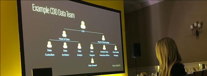 picture of an organizational chart showing how a cdo fits in